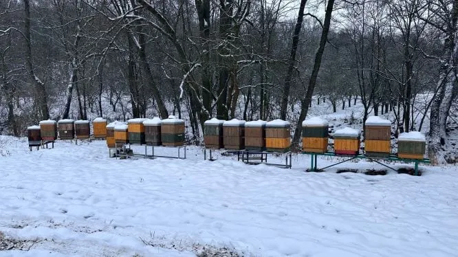 O včelařství